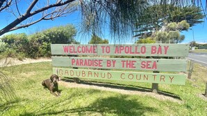 A wooden sign with the text "Welcome to Apollo Bay Paradise by the Sea" and "Gadubanud Country" in a natural setting.