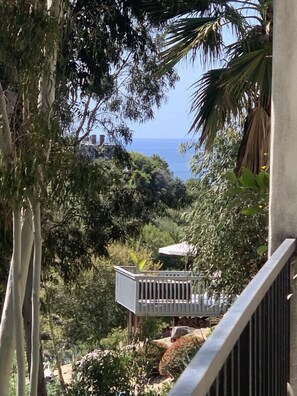 Property grounds - San Clemente Beach home walk to beach and downtown (San Clemente)