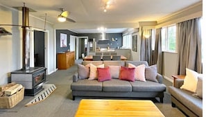 Smart TV, fireplace, video games, DVD player
