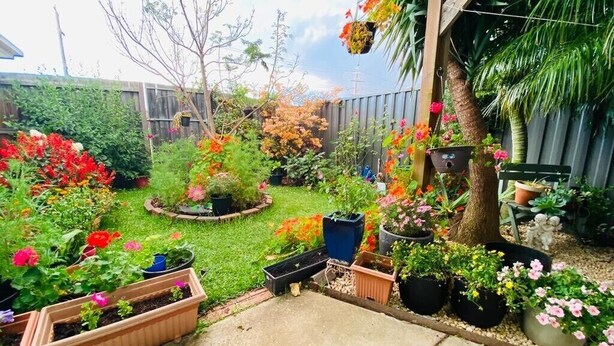A garden with various potted plants and flowers, a wooden fence, and a tree. - Entire Home In Werribee On the Best Possible Location. (Werribee)