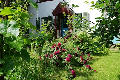 Romantisches Ferienhaus Mitten in der Natur