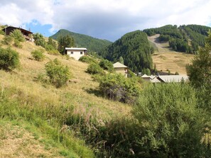 Esterni
