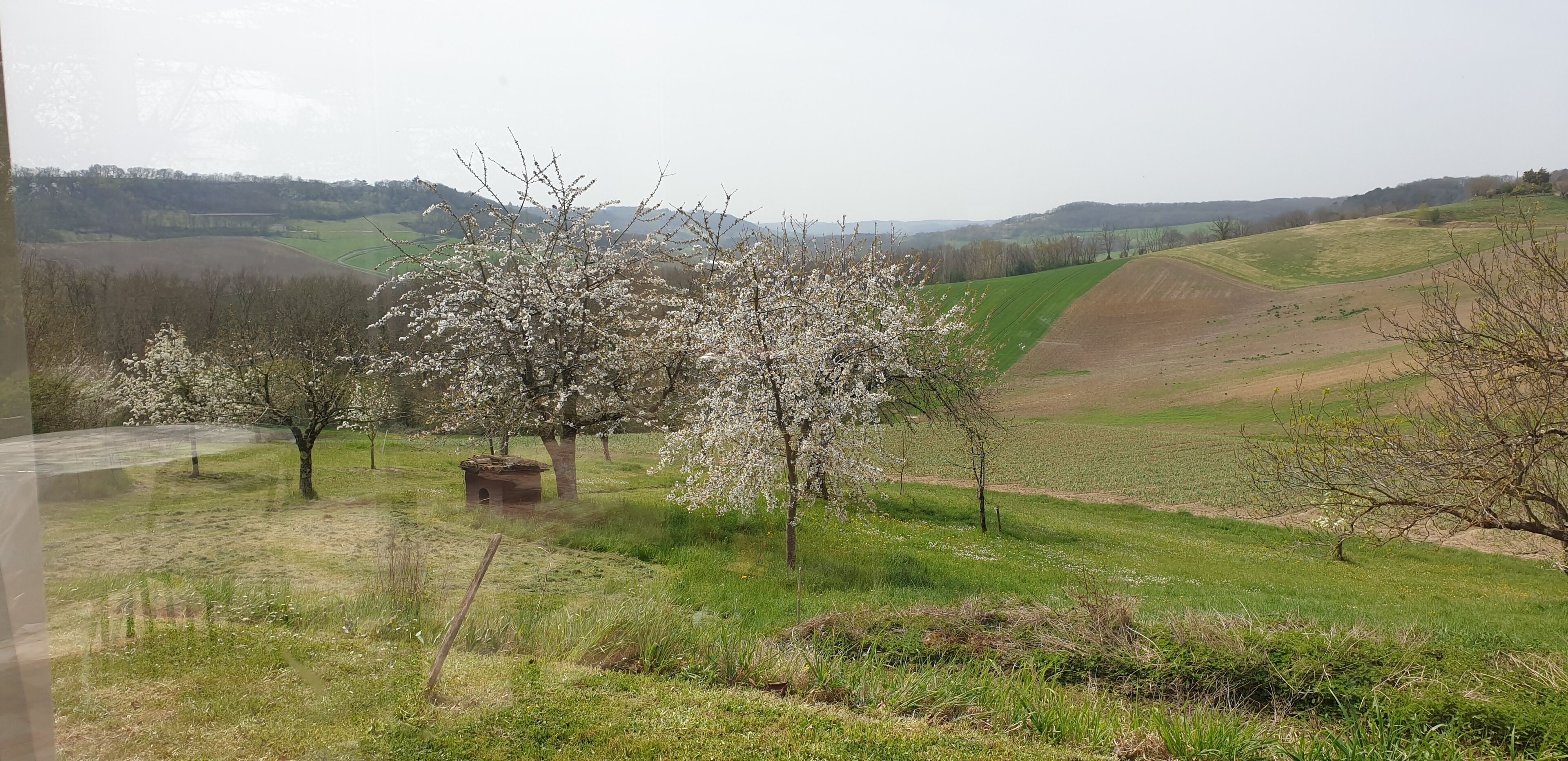 Paisaje rural con colinas onduladas, una carretera y árboles en flor.
