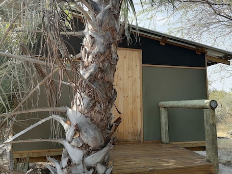 Exterior detail. Empty campsite in natural farm between Maun and Moremi