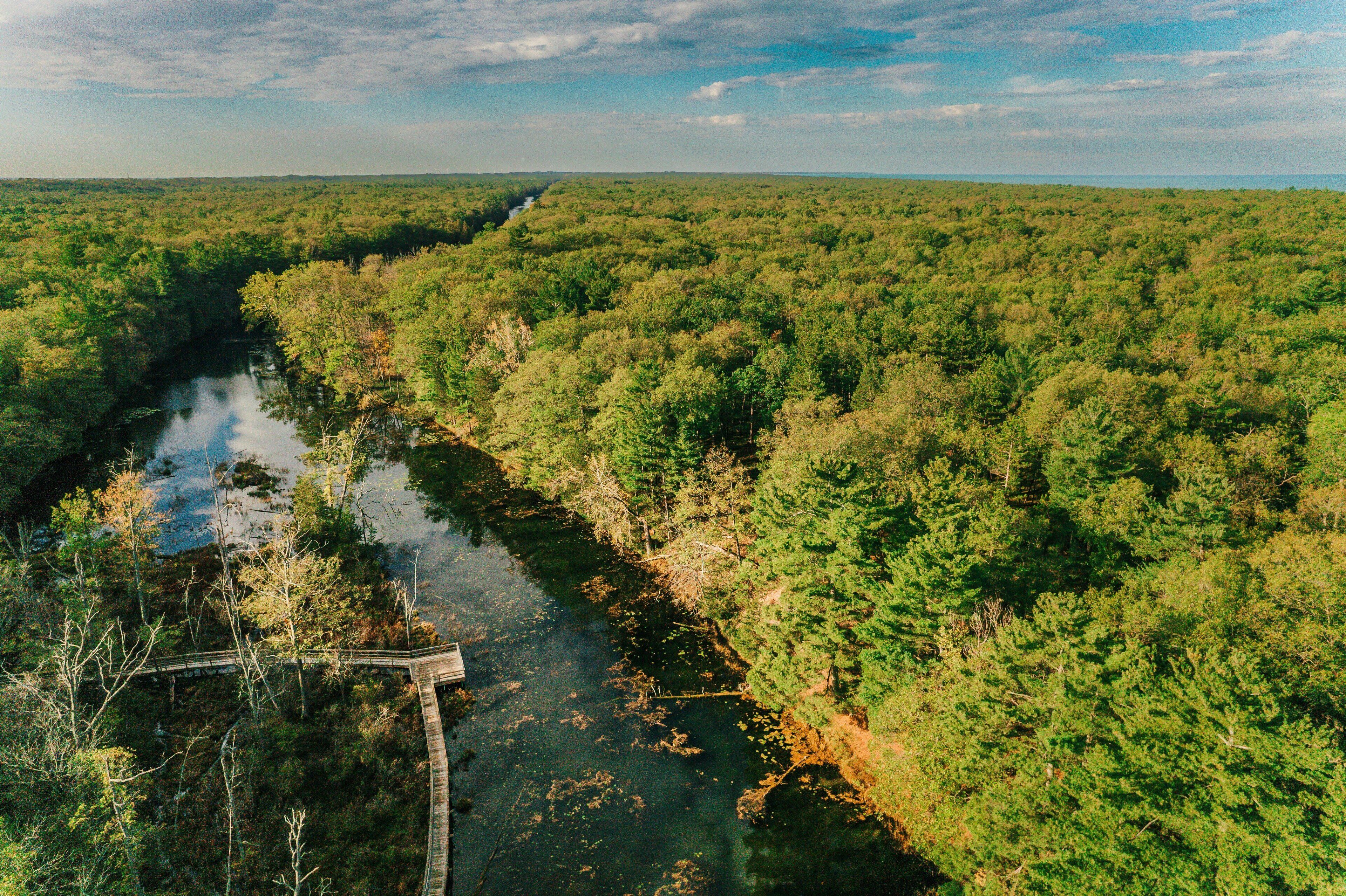 A river winding through a dense forest with a wooden bridge.