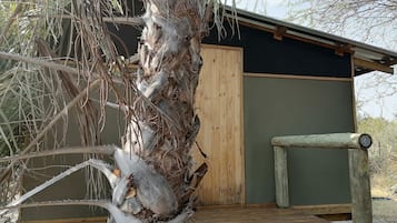 Detalle exterior