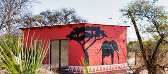 Delightful campsite in nature between Maun & Moremi