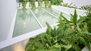 A modern courtyard with white walls, a glass water feature, and various green plants. - Hotel Leonor (Conil de la Frontera)