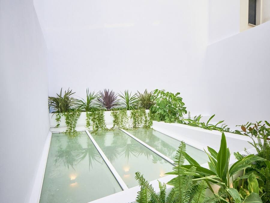 Un patio moderno con paredes blancas, una fuente de agua de vidrio y diversas plantas verdes.