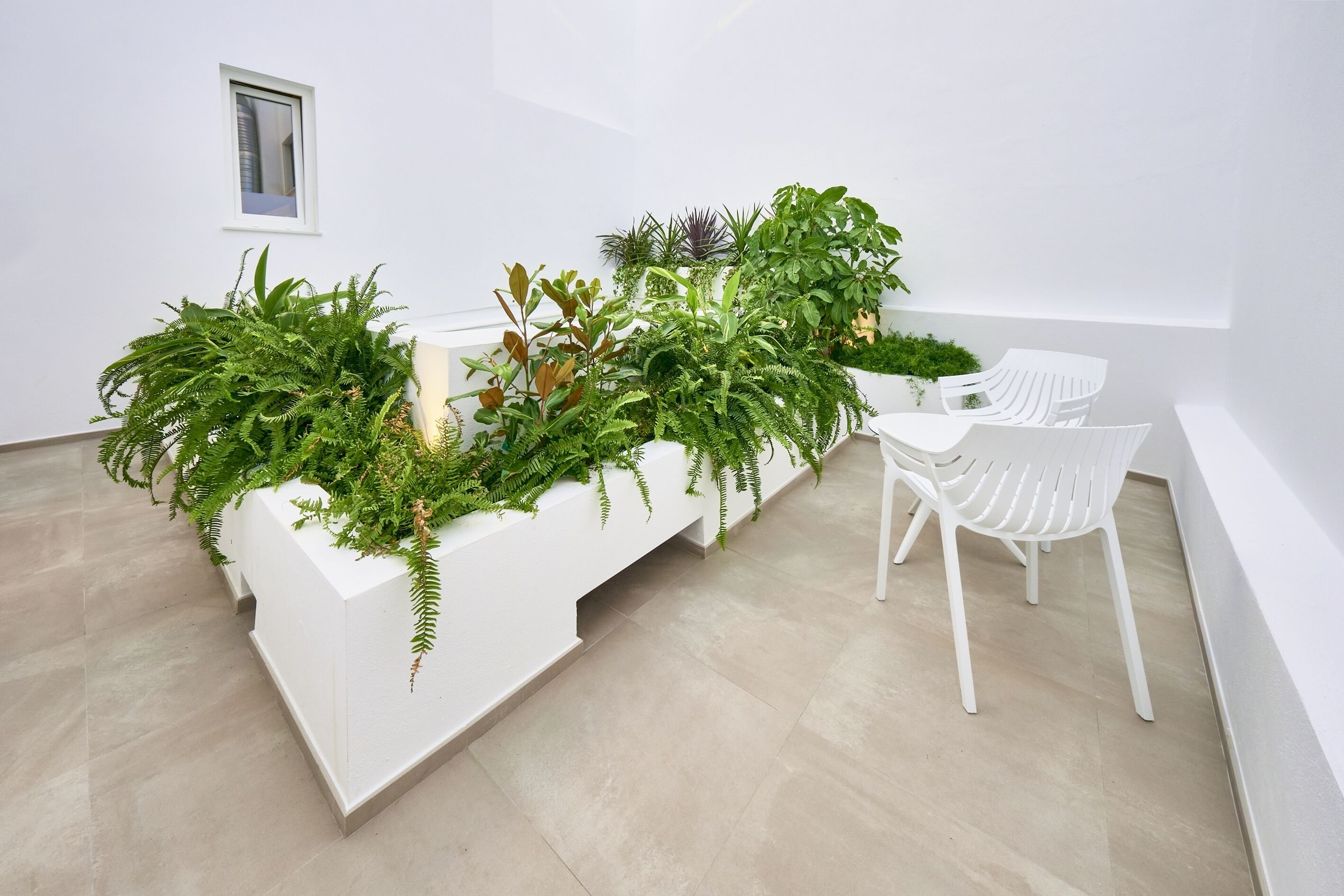 Foto - Hotel Leonor Conil