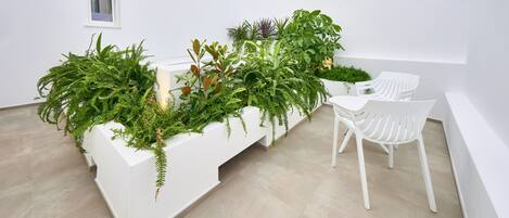 Zona de recepción con un mostrador blanco, varias plantas en macetas y sillas blancas.