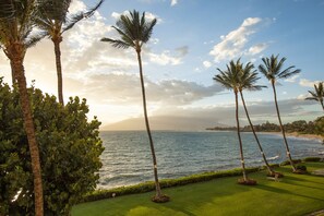 Property grounds - Royal Mauian 205 - Splendid Oceanview Retreat, Stroll to Dining and Shopping! (Kihei, Maui)