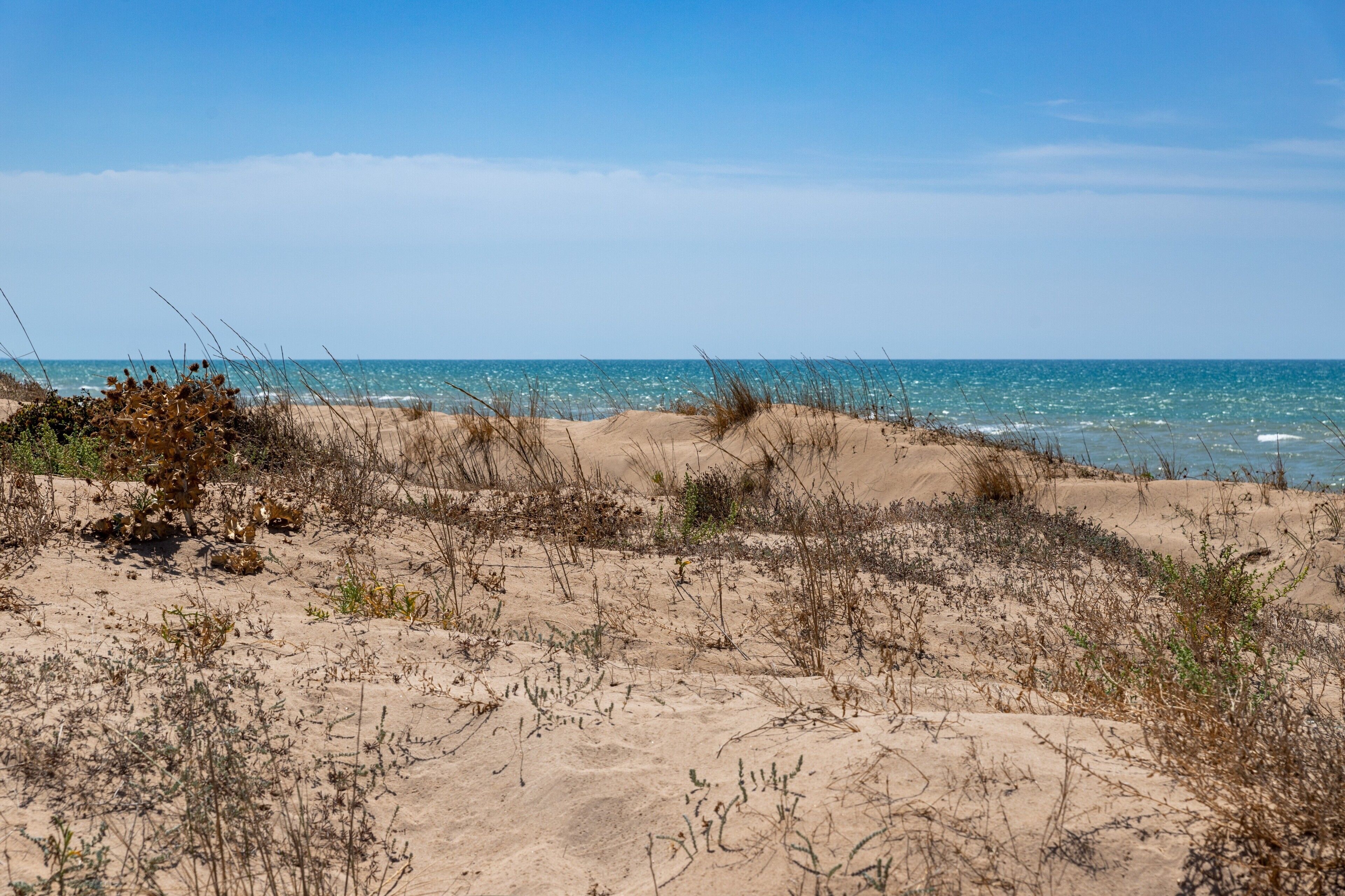 In Strandnähe