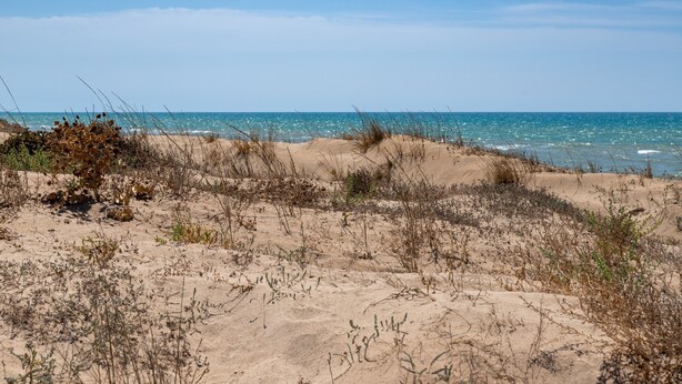 Een zandstrand met weinig begroeiing en een helderblauwe lucht.
