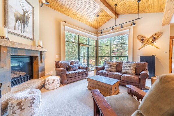 TV, fireplace, DVD player