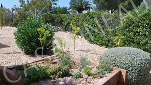 A garden with various plants and a wooden bench.