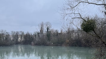 Une rivière paisible, bordée d’une rive herbeuse, avec des arbres sans feuilles en arrière-plan.