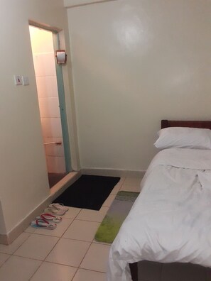1 bedroom, desk, free WiFi - Spacious studio with hot shower and FREE Wi-Fi and it is a noise free zone.  (Nairobi)