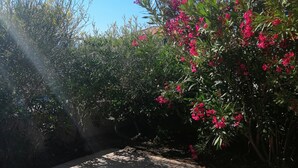 A tiled patio area with a view of a garden featuring various plants and flowers.