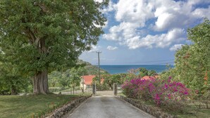 A paved road leading to a gate, surrounded by lush greenery and a large tree. - Spanish-style Ocean view Villa set in garden - Calypso Court (Cap Estate)