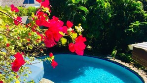 A swimming pool with a stone border, surrounded by lush greenery and a flowering plant. - Hummingbird Villa - Tropical 3 bedroom Villa with Panoramic Views (Cap Estate)