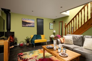 TV connectée, cheminée, lecteur de DVD, livres