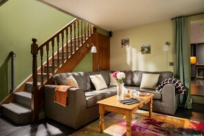 Smart TV, fireplace, DVD player, books