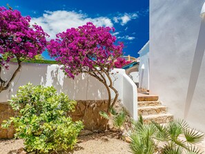 Property grounds - Amazing Views by Interhome (Jávea)