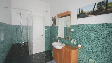 Een douche, een haardroger, een bidet, handdoeken