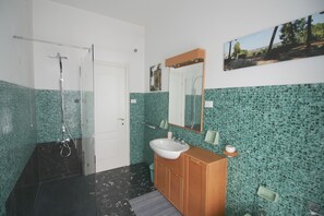 Regadera, secadora de cabello, bidet, toallas 