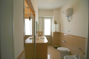 Shower, hair dryer, bidet, towels