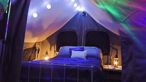 A tent with a bed, string lights, and a lantern. - 100 Acre Whispering Woods (Livermore Falls)