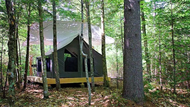 A forested campsite with a single tent set up among trees. - 100 Acre Whispering Woods (Livermore Falls)