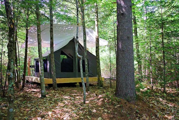 Ein bewaldeter Campingplatz mit einem Zelt zwischen Bäumen.
