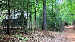 A rustic cabin surrounded by dense forest. - 100 Acre Whispering Woods (Livermore Falls)