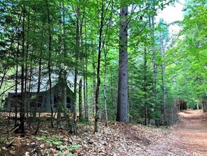 Ein rustikales Blockhaus, umgeben von dichtem Wald.