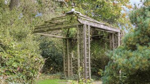 Une structure de pergola en bois, entourée d’une végétation luxuriante et d’un mur de pierre.