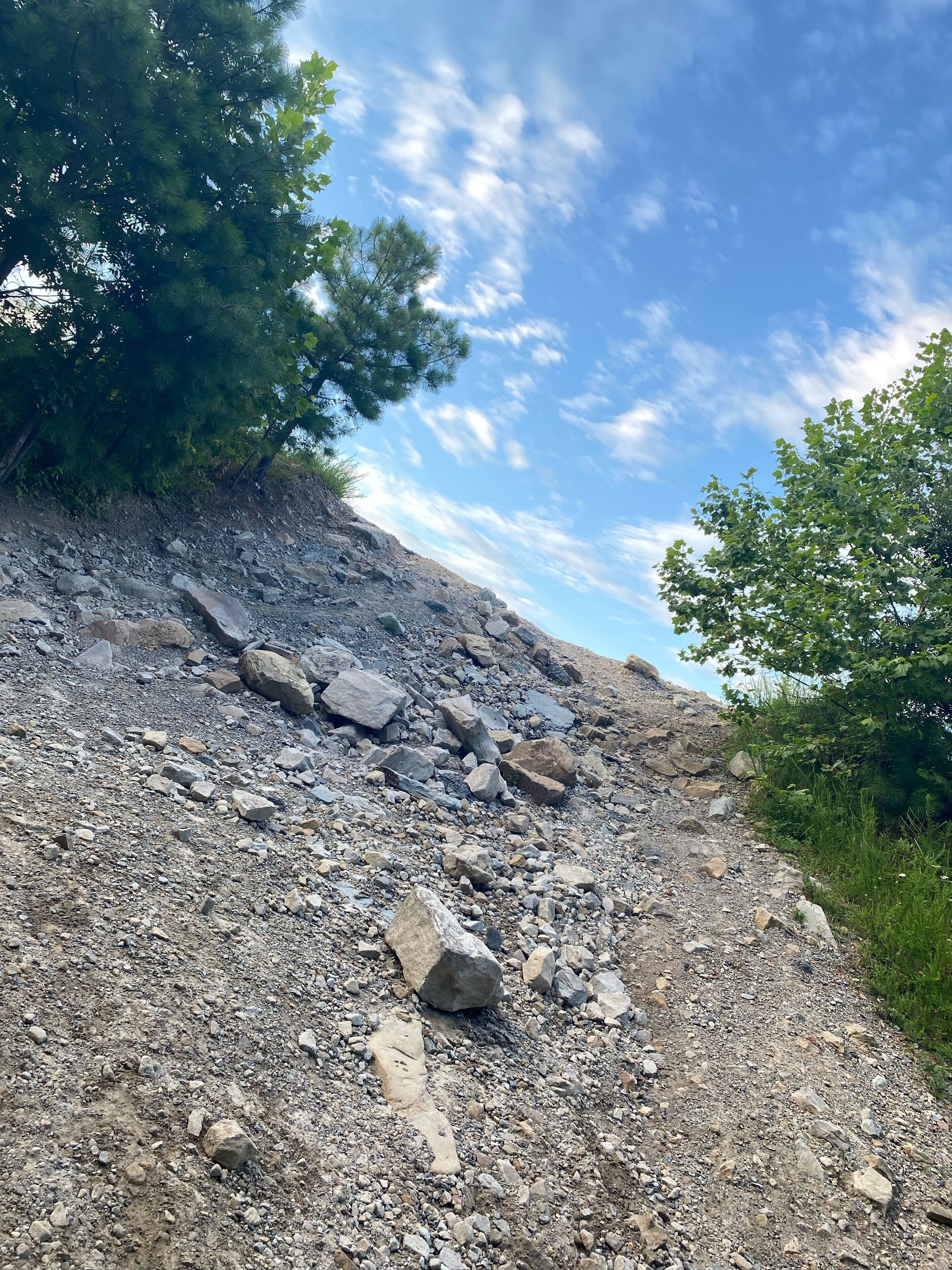 Un sendero pedregoso con grandes rocas y vegetación escasa.
