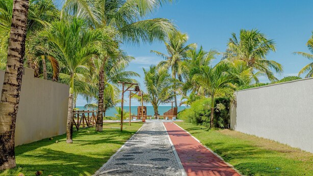 A pathway lined with palm trees and a beach view.