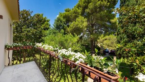 Un balcon orné d’une balustrade en fer forgé, de plantes en pot et de fleurs blanches.