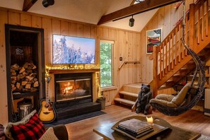 TV, fireplace, books, stereo