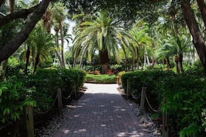 A paved pathway flanked by lush greenery and palm trees, leading to a building entrance.