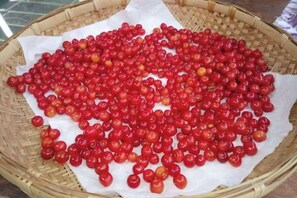 A basket filled with red berries on a white cloth. - Ziyou Suiyue Design Hostel (Yulong)