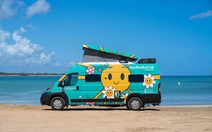 A turquoise camper van with a sun and flower design parked on a beach.