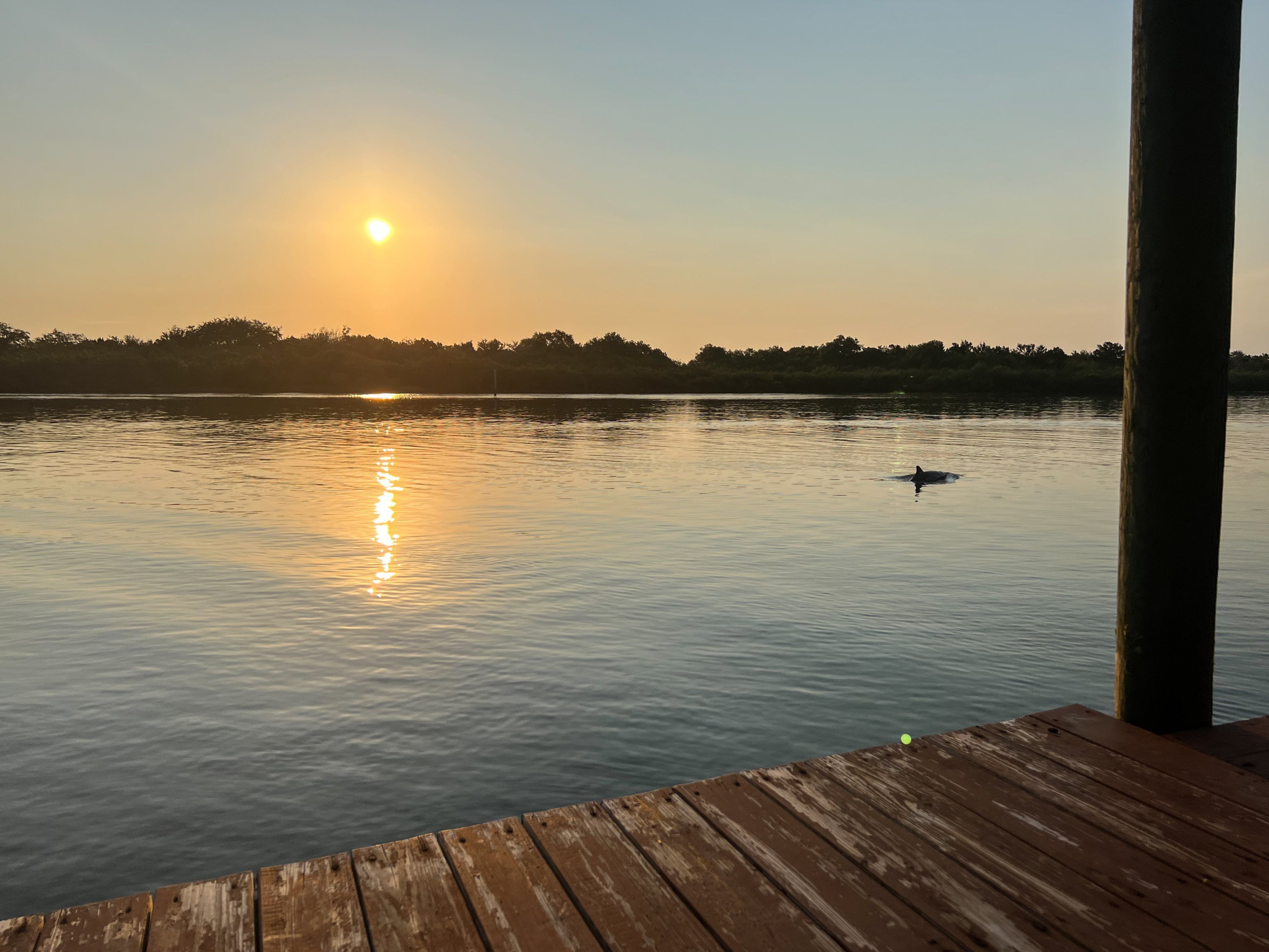 Large, Spacious home on The Intracoastal, Watch Dolphins play and Fish