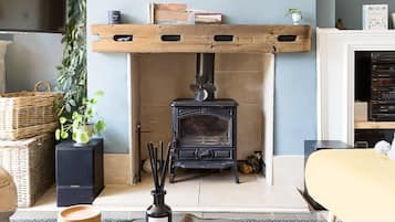 TV, fireplace, offices