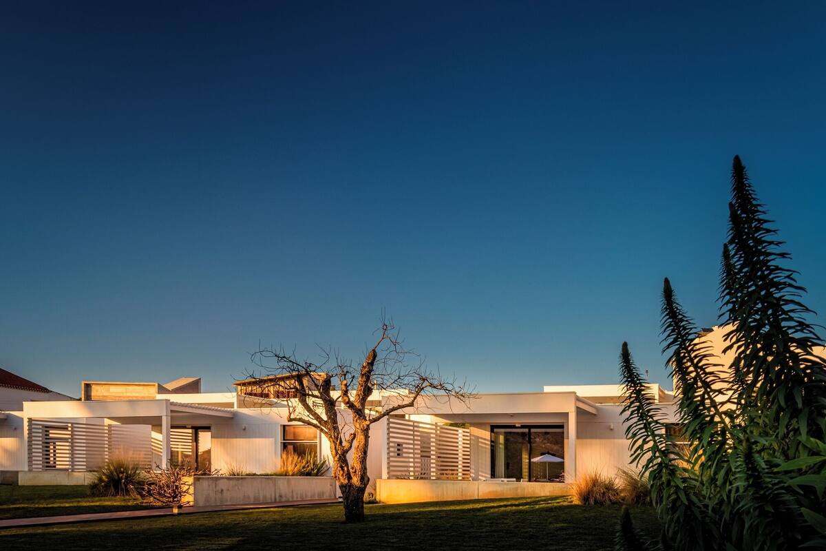 Une maison moderne avec un toit plat et de grandes fenêtres, entourée d’une pelouse bien entretenue et de grands arbres.