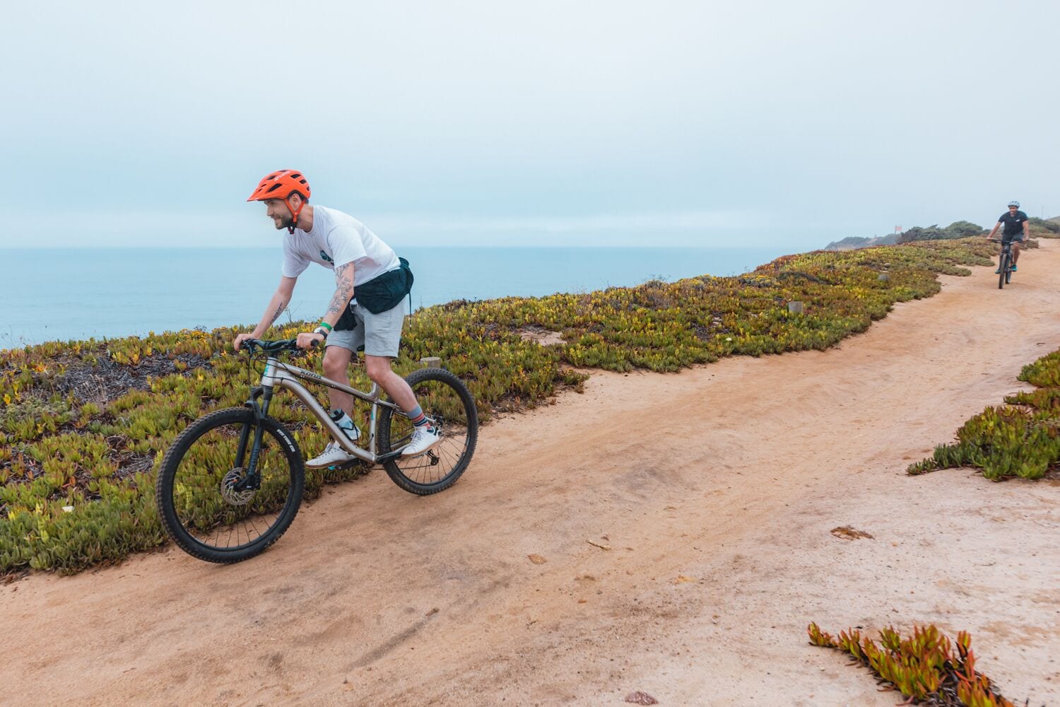 A dirt path with greenery and a cyclist.