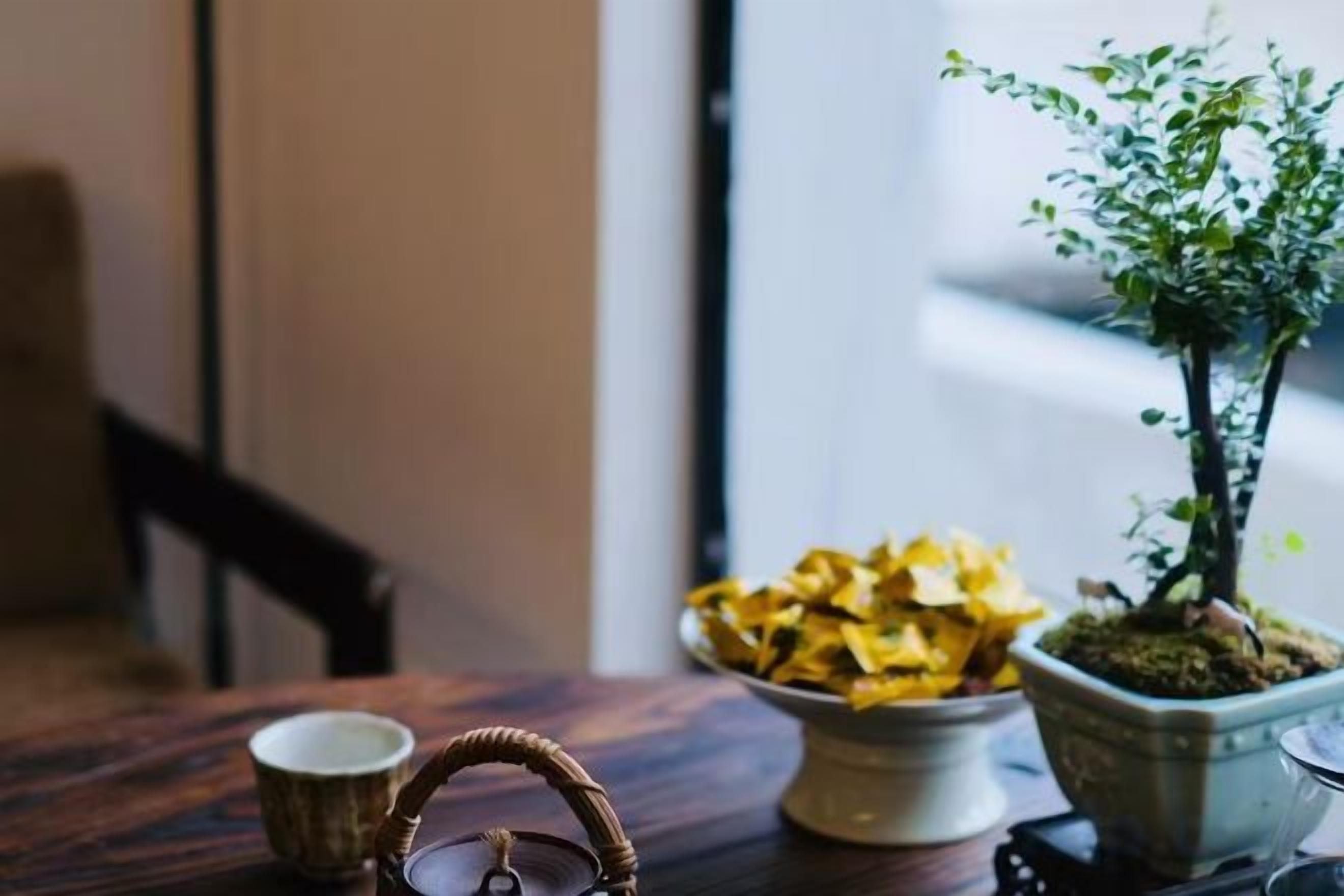 A wooden table with a bowl of chips, a cup, and a small potted plant.