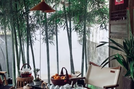 A table with a teapot, cups, and a basket of oranges, surrounded by bamboo plants and a hanging lamp.. Jingdezhen Guiran Inn